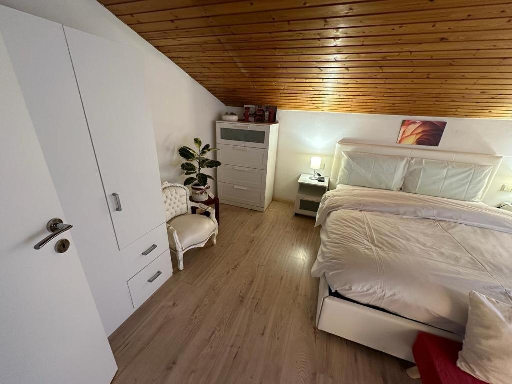 Апартаменты Plose Panorama House Брессаноне Экстерьер фото